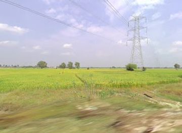 india/bihar/landmark/behlar-bidhan-sabha-ariya