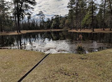 south-carolina/sandhills/landmark/lee-state-park