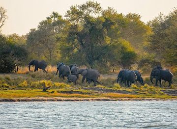 Mosi-oa-Tunya National Park