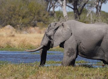 botswana/chobe-district/landmark/moremi-game-reserve