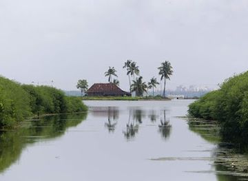 india/kerala-backwaters/landmark/kandakkadavu-view-point