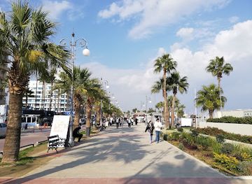 cyprus/larnaca/landmark/finikoudes