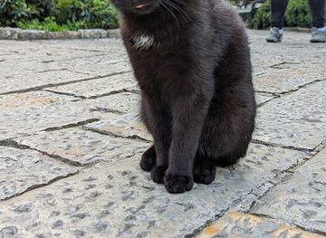 montenegro/kotor/landmark/kotor