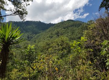 honduras/pico-bonito-national-park/landmark/parque-nacional-celaque