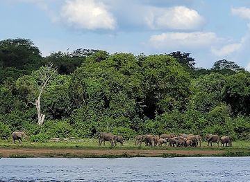 uganda/northern-region/landmark/murchison-falls-safari