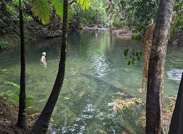 australia/cape-tribulation/landmark/mason-s-swimming-hole