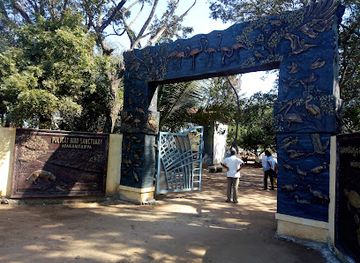 india/andhra-pradesh/landmark/pulicat-bird-sanctuary