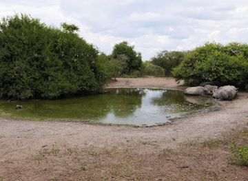 botswana/tuli-block/landmark/khama-rhino-sanctuary