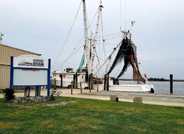 florida/apalachicola/landmark/apalachicola-city-hall