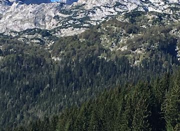 montenegro/durmitor-national-park/landmark/country-apartments-for-sale-in-durmitor-national-park