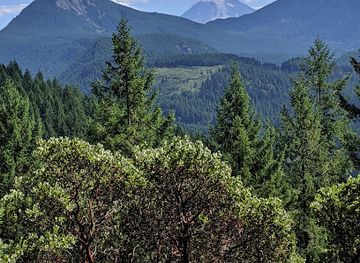 washington/mount-st-helens-area/landmark/interpretive-site-layser-cave