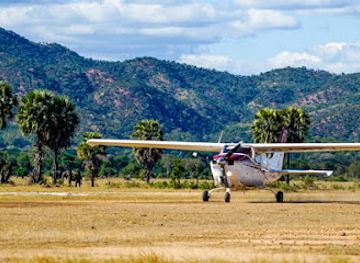 zambia/lusaka-national-park/landmark/classic-zambia-safaris