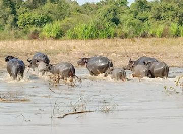 cambodia/siem-reap/landmark/temple-remains