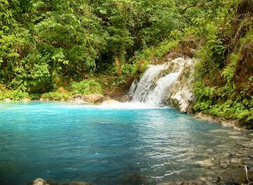 costa-rica/south-pacific/landmark/sensoria-land-of-senses-and-magical-rainforest
