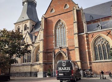 belgium/hasselt/landmark/cathedral-st-quintinus
