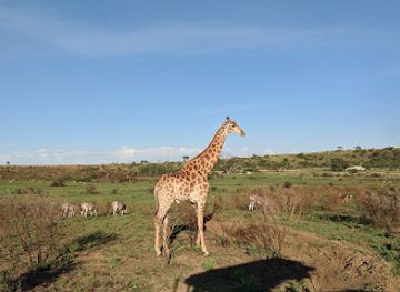 south-africa/bushveld/landmark/nambiti-big-5-private-game-reserve