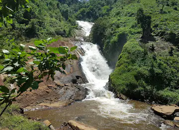 Bururi Forest Nature Reserve