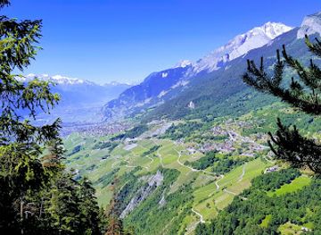 switzerland/valais/landmark/bisse-du-torrent-neuf