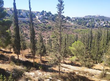 israel/jerusalem-district/landmark/jerusalem-forest