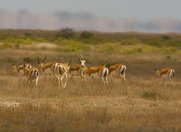 azerbaijan/shirvan-region/landmark/shirvan-national-park