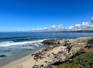 california/san-diego-beaches/landmark/boomer-beach
