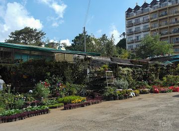 philippines/baguio/landmark/baguio-orchidarium