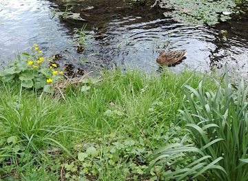 france/dijon/quartier-de-la-fontaine-d-ouche/landmark/ruisseau-de-la-fontaine-d-ouche-garden