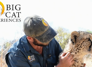 south-africa/waterberg/landmark/big-cat-experiences