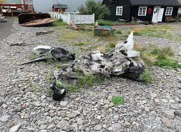 Whale Bones