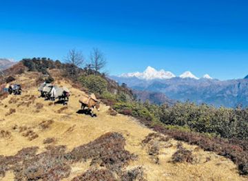 bhutan/eastern-bhutan/landmark/nub-tshonapata-trek