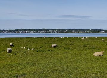 denmark/mariager-fjord/landmark/havno-gods