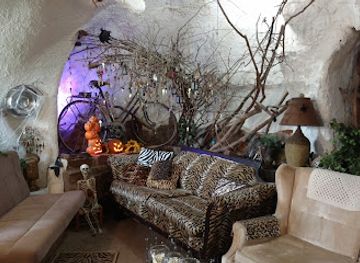 oklahoma/tulsa-metropolitan-area/landmark/the-cave-house-linda-collier