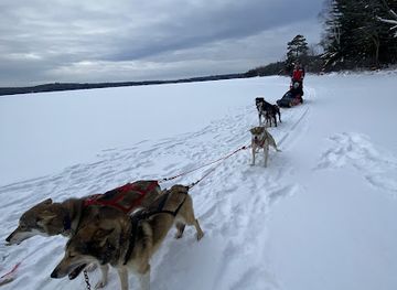 minnesota/ely/landmark/white-wolf-dog-sled-trips