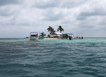 belize/the-cayes/landmark/gladden-spit-and-silk-cayes-marine-reserve
