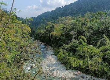 ecuador/napo-region/landmark/tena-napo-ecuador