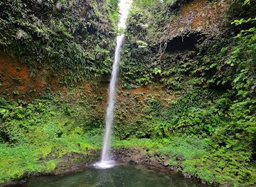 dominica/emerald-pool/landmark/spanny-falls