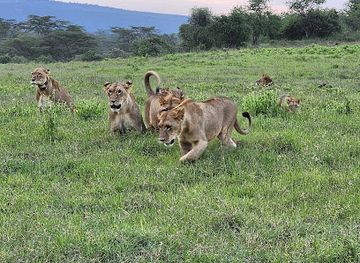 kenya/lake-nakuru-national-park/landmark/lion-hill-lookout