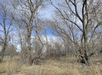 colorado/fort-collins/landmark/old-fort-collins-heritage-park