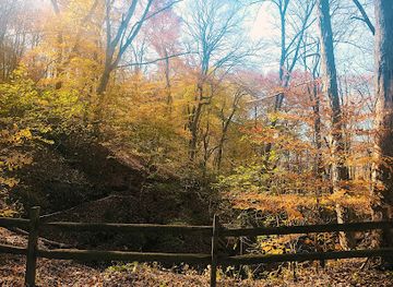 pennsylvania/laurel-highlands/landmark/winnie-palmer-nature-reserve