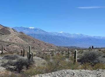 argentina/northwest-argentina/landmark/parque-nacional-los-cardones