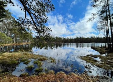 sweden/jonkoping/landmark/dumme-mosse