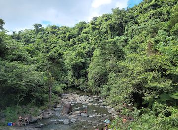 puerto-rico/yunque-national-forest/landmark/puente-roto