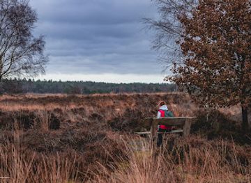 netherlands/veluwe-national-park/landmark/speulderbos