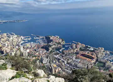 Monte Carlo Viewpoint