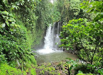 costa-rica/san-carlos/landmark/catarata-danta