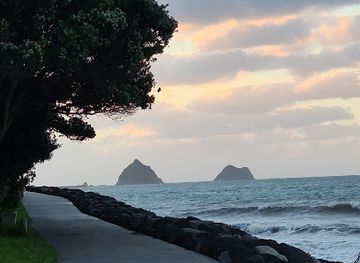 new-zealand/west-coast/landmark/new-plymouth-coastal-walkway