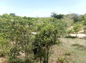 Trekking uva province with raj