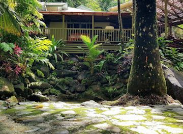 australia/daintree-rainforest/landmark/daintree-secrets-rainforest-sanctuary