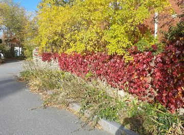 maine/washington-county/landmark/lincoln-street-historic-district