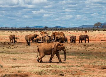 kenya/tsavo-region/landmark/tsavo-east-national-park